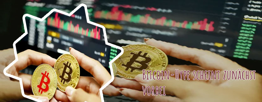 Average bitcoin holding