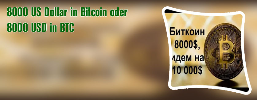 Bitcoin 8000