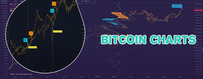Bitcoin daily