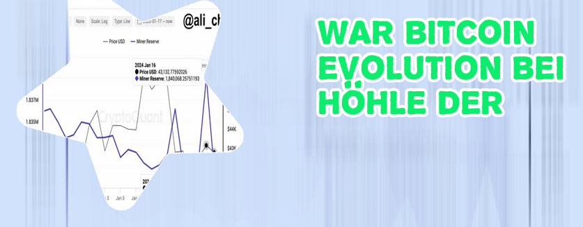 Bitcoin evolution traden