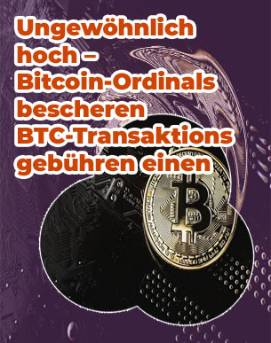 Höchstwert von bitcoin